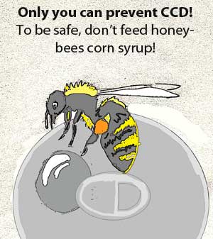 Honey bee and soda by Susan Fluegel at Grey Duck Garlic